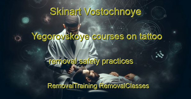 Skinart Vostochnoye Yegorovskoye courses on tattoo removal safety practices | #RemovalTraining #RemovalClasses #SkinartTraining-Russia