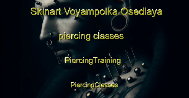 Skinart Voyampolka Osedlaya piercing classes | #PiercingTraining #PiercingClasses #SkinartTraining-Russia