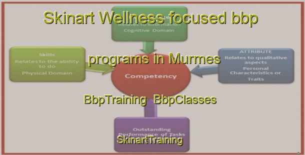 Skinart Wellness-focused bbp programs in Murmes | BbpTraining | BbpClasses | SkinartTraining-Russia