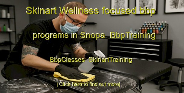 Skinart Wellness-focused bbp programs in Snopa | BbpTraining | BbpClasses | SkinartTraining-Russia