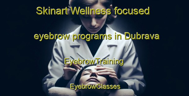 Skinart Wellness-focused eyebrow programs in Dubrava | EyebrowTraining | EyebrowClasses | SkinartTraining-Russia