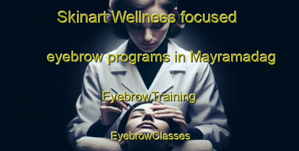 Skinart Wellness-focused eyebrow programs in Mayramadag | EyebrowTraining | EyebrowClasses | SkinartTraining-Russia
