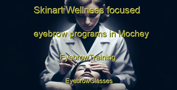 Skinart Wellness-focused eyebrow programs in Mochey | EyebrowTraining | EyebrowClasses | SkinartTraining-Russia