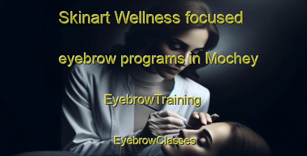 Skinart Wellness-focused eyebrow programs in Mochey | EyebrowTraining | EyebrowClasses | SkinartTraining-Russia