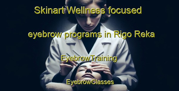 Skinart Wellness-focused eyebrow programs in Rigo Reka | EyebrowTraining | EyebrowClasses | SkinartTraining-Russia