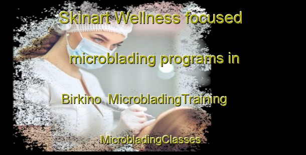 Skinart Wellness-focused microblading programs in Birkino | MicrobladingTraining | MicrobladingClasses | SkinartTraining-Russia