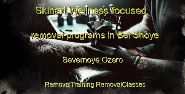 Skinart Wellness-focused removal programs in Bol Shoye Severnoye Ozero | #RemovalTraining #RemovalClasses #SkinartTraining-Russia