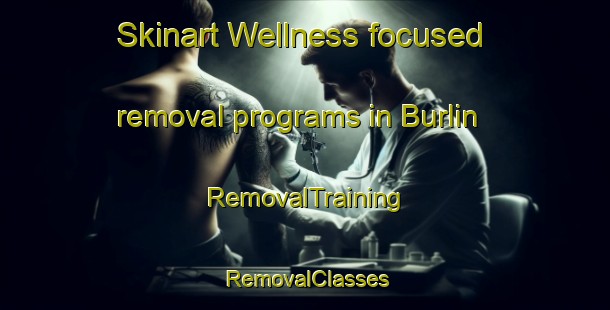 Skinart Wellness-focused removal programs in Burlin | RemovalTraining | RemovalClasses | SkinartTraining-Russia