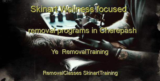 Skinart Wellness-focused removal programs in Cherepash Ye | #RemovalTraining #RemovalClasses #SkinartTraining-Russia