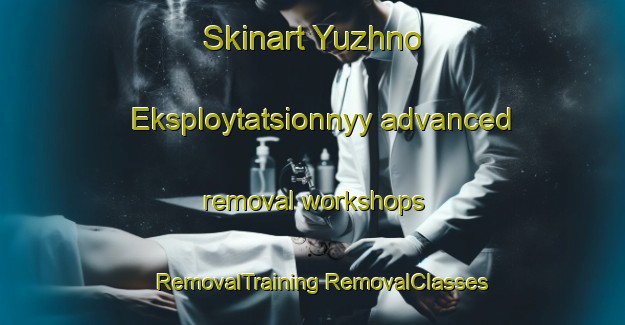 Skinart Yuzhno Eksploytatsionnyy advanced removal workshops | #RemovalTraining #RemovalClasses #SkinartTraining-Russia